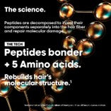 L'Oreal Professionnel Absolut Repair Molecular Deep Repairing Cream Mask