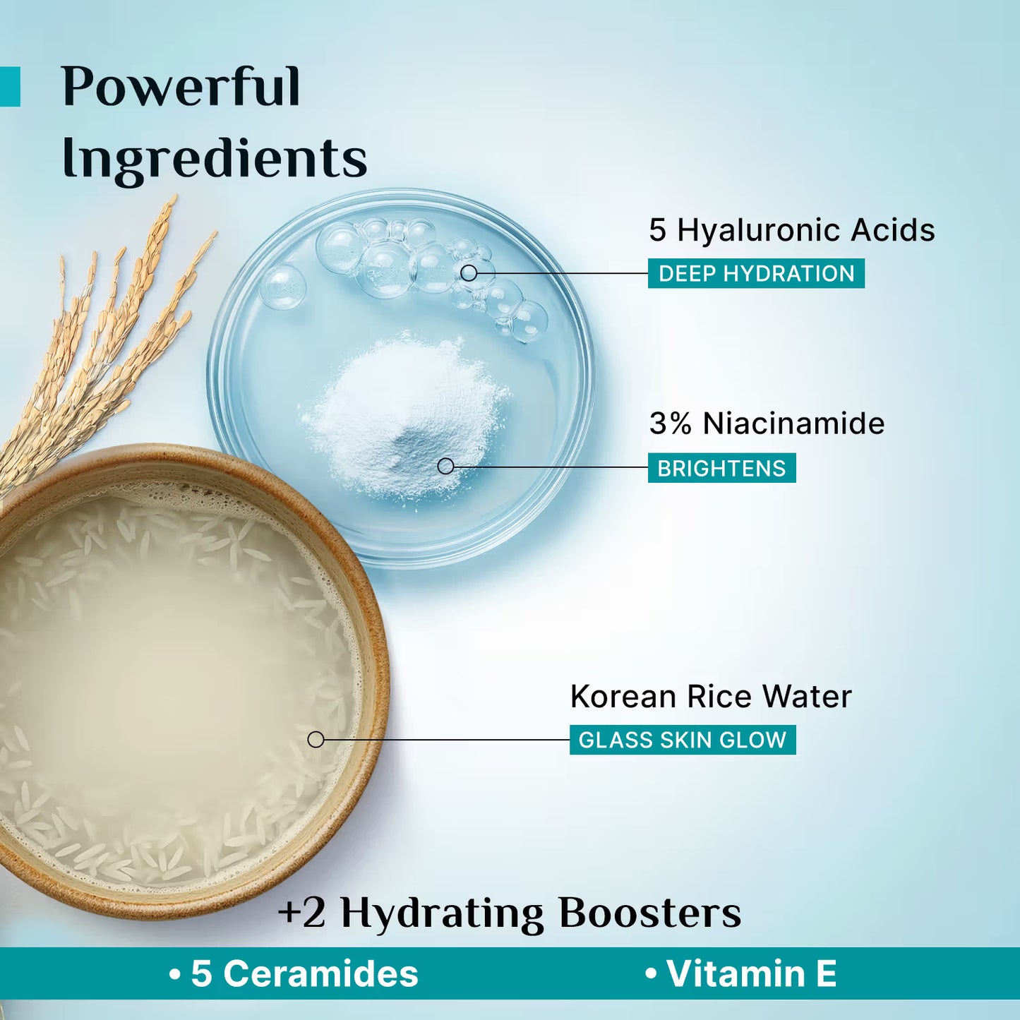 Pilgrim Korean Rice Water Hydra Glow Light Gel Moisturizer
