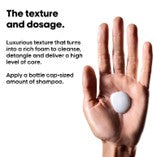 L'Oreal Professional Absolut Repair Molecular Sulfate-Free Deep Repair Shampoo for Very Damaged Hair