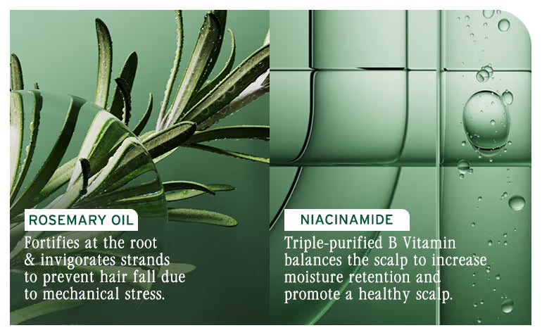 Biolage Full Rescue Anti-Hairfall Shampoo with Rosemary & Niacinamide - 74% Less Hairfall