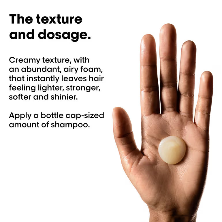 L'Oréal Professionnel Absolut Repair Shampoo For Dry and Damaged Hair With Protein & Omega-9